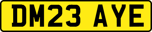 DM23AYE