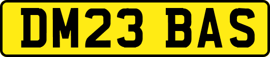 DM23BAS