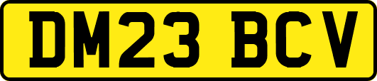 DM23BCV