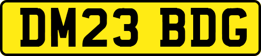 DM23BDG