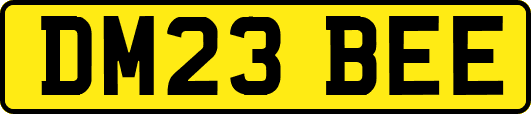 DM23BEE