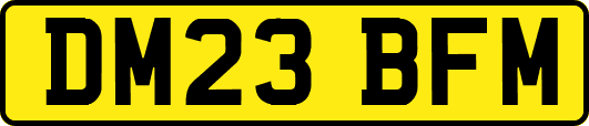 DM23BFM