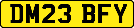 DM23BFY