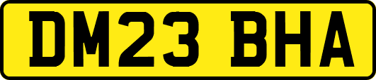 DM23BHA