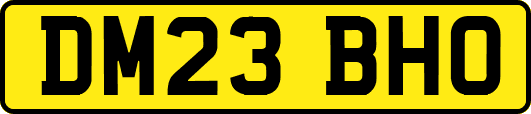 DM23BHO