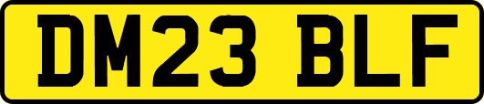 DM23BLF