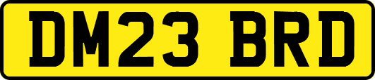 DM23BRD