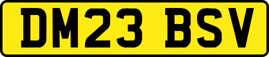 DM23BSV