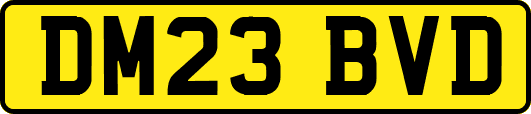 DM23BVD