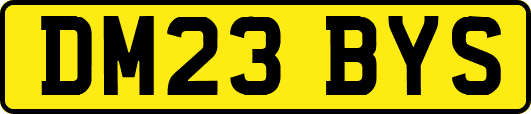 DM23BYS