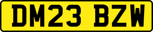 DM23BZW