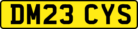 DM23CYS
