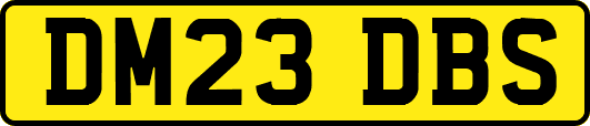 DM23DBS