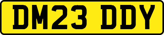 DM23DDY