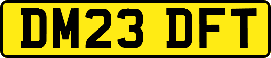 DM23DFT