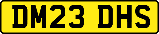 DM23DHS