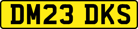 DM23DKS