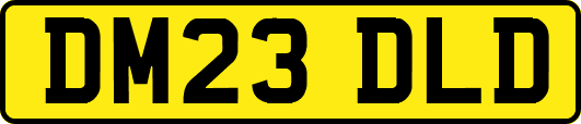 DM23DLD