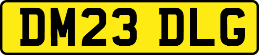 DM23DLG