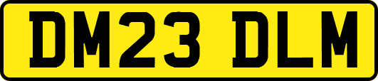 DM23DLM