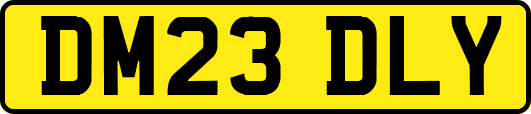 DM23DLY