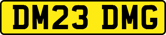 DM23DMG
