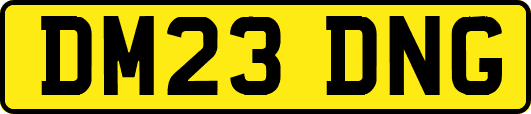 DM23DNG