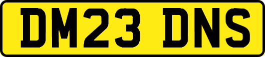 DM23DNS