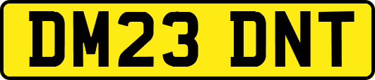 DM23DNT