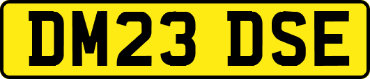 DM23DSE