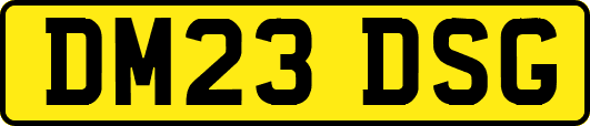 DM23DSG