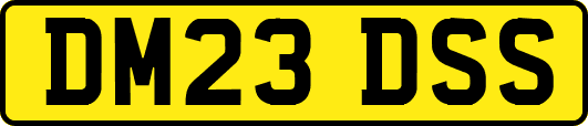 DM23DSS