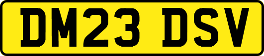 DM23DSV