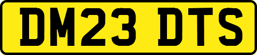 DM23DTS