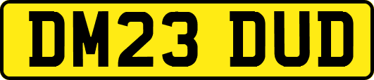 DM23DUD