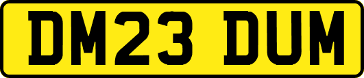 DM23DUM