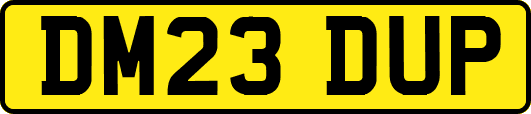 DM23DUP