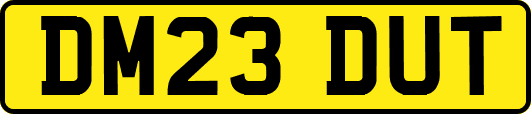 DM23DUT