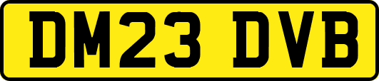 DM23DVB