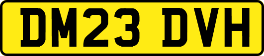 DM23DVH