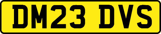 DM23DVS