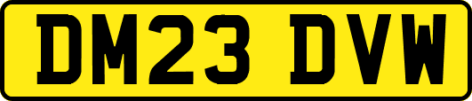 DM23DVW