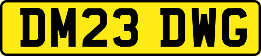 DM23DWG
