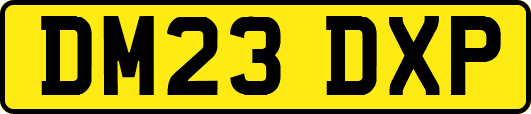 DM23DXP