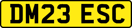 DM23ESC