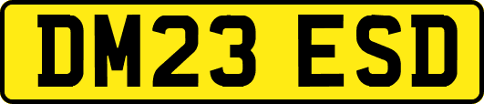 DM23ESD