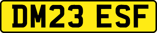DM23ESF