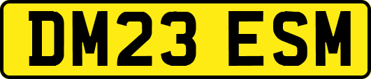DM23ESM