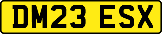 DM23ESX