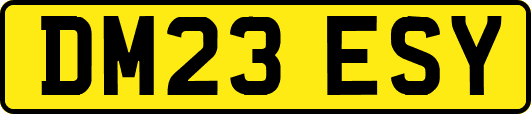DM23ESY